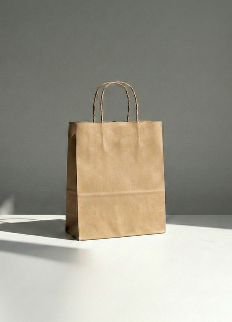 Unprinted Kraft Takeout Paper Bags (Natural)
